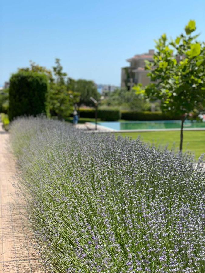 Provence Deluxe Apartment In Atia Resort Черноморец Экстерьер фото